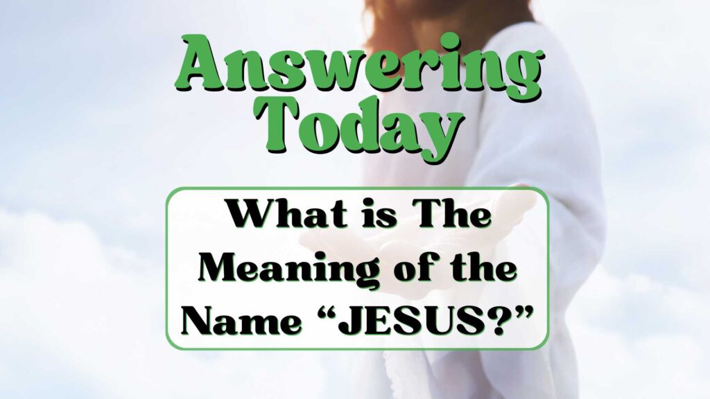 Featured Image 1 1024x576