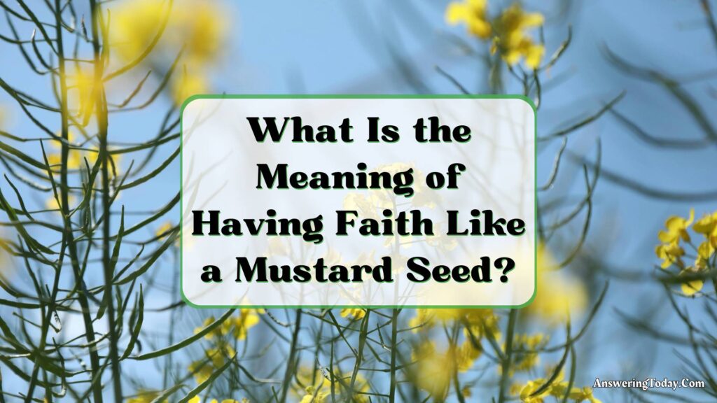 Mustard Seed Faith